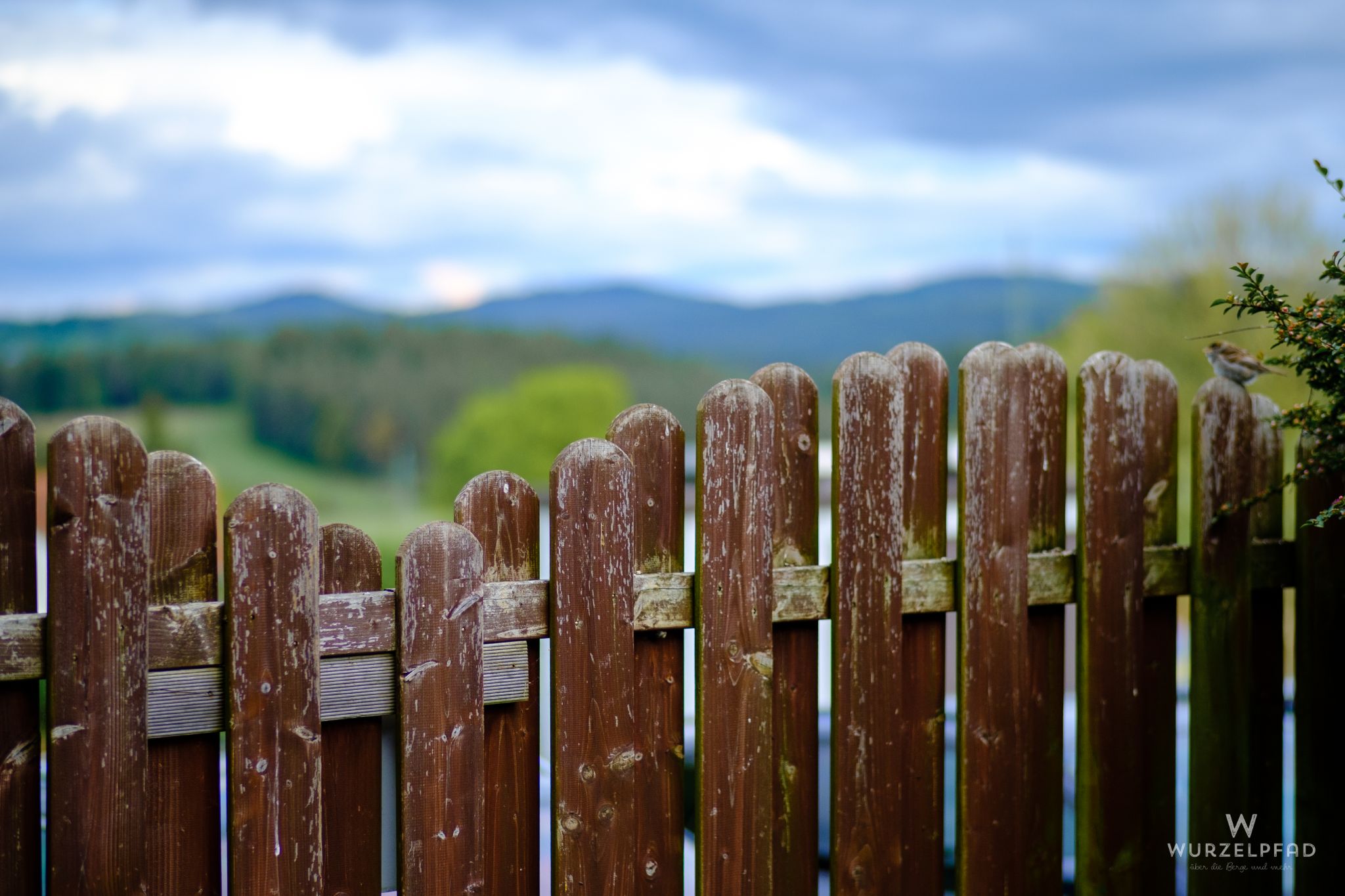 Blick zum Kaitersberg